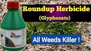 How to Kill Weeds  Roundup Herbicide Bayer  Glyphosate 41 SL [upl. by Moriarty]