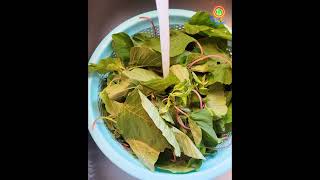 Recept Klaroen  Hin Choy  Amarant  Chinese Spinazie  Food amp Travel [upl. by Young831]