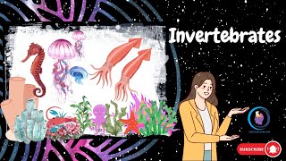 Characteristics of Invertebrates [upl. by Diandra]