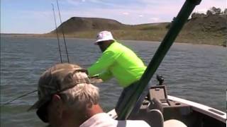 10LB WALLEYE  FORT PECK MONTANA [upl. by Yelsa778]