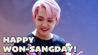 🦝HAPPY WONSANG DAY🦝ENG sub [upl. by Ennaeus]