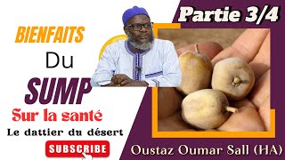 Vertus du SUMP dattier du désert par Oustaz Oumar Sall HA  Partie 34 [upl. by Goodrow]