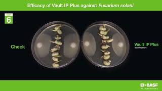 Vault IP Plus Fusarium Timelapse [upl. by Bolton]