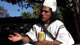 Mamo Lorenzo Lider espiritual Arhuaco [upl. by Tut]