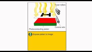 Electric Charge  How a Photocopier Works [upl. by Nylannej]