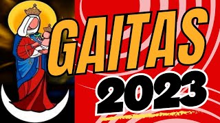 GAITAS 2023  VHG  A GOZAR LA VIDA  EL GAITERO DE A PIE [upl. by Niffirg]