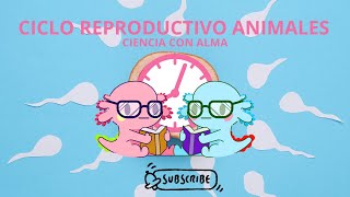 CICLO REPRODUCTIVO EN ANIMALES [upl. by Grannia227]