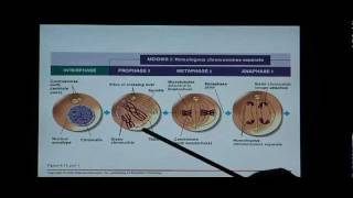 Biology Help Biology 123 Chapter 8 Mitosis and Meiosis [upl. by Assirak]