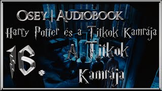 Harry Potter és a Titkok Kamrája hangoskönyv  16 fejezet [upl. by Lari]