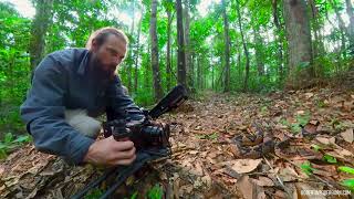 Behind The Scenes  Filming a South American Bushmaster Lachesis Muta [upl. by Giule783]