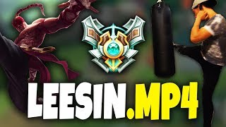 LEESINMP4 [upl. by Trueman604]