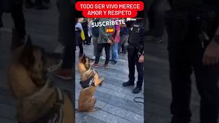 🇪🇸 POLICÍA NACIONAL Y AGENTE CANINO K9 🇪🇸 shorts viral policia madrid españa [upl. by Ebneter]