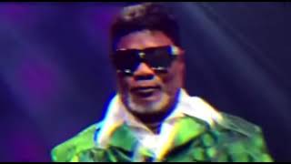 Insecticide  Ferre Gola Le Padre x Koffi Olomide Live Adidas Arena [upl. by Eneleoj]