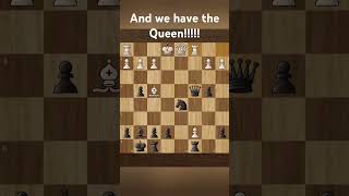 Queen is ours now now guess who is winning here [upl. by Nelli874]