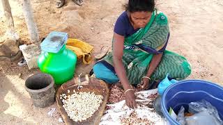 Cashew nut Processing  Cashew nut  Roasting Cashew nut  Cashew nut Processing india [upl. by Marieann503]