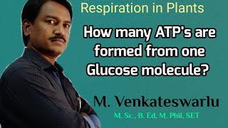 The Respiratory Balance Sheet  Respiration in Plants [upl. by Tnarud]