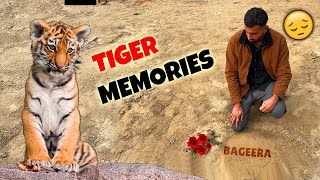 Memories Of Our BageeraTIGER [upl. by Yeniar]