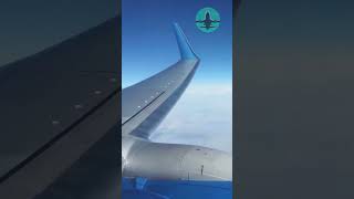 Wing Flex During TURBULENCE SHOULD YOU BE SCARED [upl. by Waldemar]