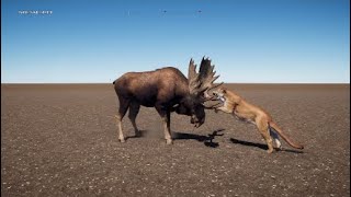 Moose All Kill And Attack Animations In Slow Motion Far Cry 5 [upl. by Jehius]