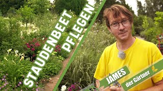 Wie pflegt man Staudenbeete richtig  James der Gärtner [upl. by Stew]