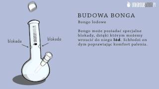 Budowa Bonga [upl. by Royce927]