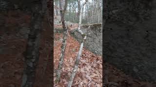 Ruins  Townsend State Forest [upl. by Turnheim]