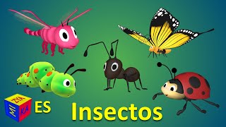 Aprendemos los insectos y escuchamos sus sonidos Dibujo animado para niños en español [upl. by Hgielanna593]