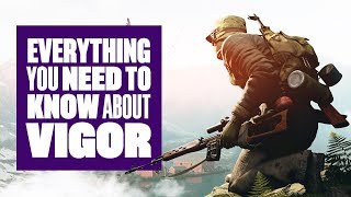 Everything You Need To Know About Vigor [upl. by Waechter]