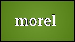 Morel Meaning [upl. by Spain]