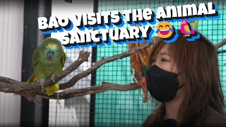 Bao Visits the Animal Sanctuary  Bao 😂🦜 [upl. by Chelton15]