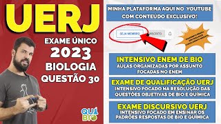 UERJ 2023  Questão 30  O ciclo de vida das abelhas é um exemplo de partenogênese processo em que n [upl. by Sidnac]