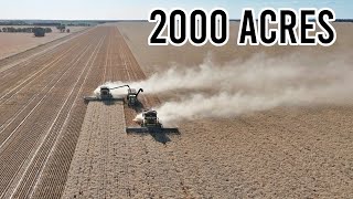 It’s a Big Paddock  Contract Harvesting Wheat  Harvest 2024  Vlog 326 [upl. by Fermin]