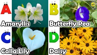 Flowers Alphabet Song  Flowers ABC Song  A to Z Flowers Names  Phonics for Kids [upl. by Ahsiya]