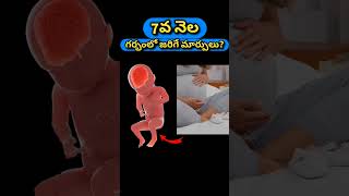 7వ నెల గర్భంలో జరిగే మార్పులు  7 months pregnancy and baby growth [upl. by Becht]