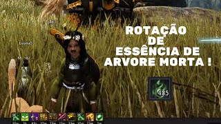 Black Desert Online How to collect dead tree essence BDO árvore morta [upl. by Nellda690]