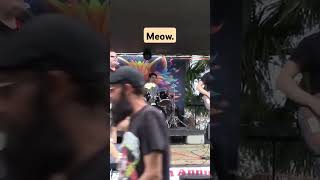 Kitty potusa cover music livemusic festival rock [upl. by Balfour]