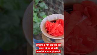 लगातार 9 दिन तक करे यह उपाय ytshorts amazingfacts suryadev astro  shortsfeed BHAKTI CLIP [upl. by Jethro888]