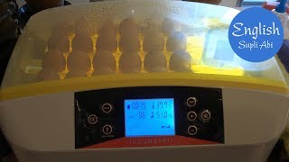 How to use HHD 32  56 Automatic egg incubator and solve problems Egg incubation Part 1【4K】 [upl. by Nanette864]