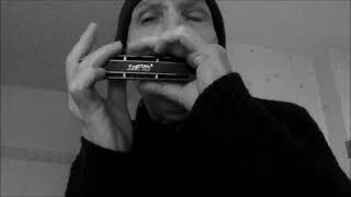 Le Grisbi impro  Harmonica chromatique [upl. by Terrie829]