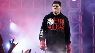 Fighter Timeline Nick Diaz [upl. by Arob361]