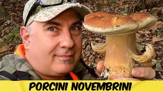 PORCINI NOVEMBRINI  FUNGHI PORCINI NOVEMBRE 2023 [upl. by Rad]