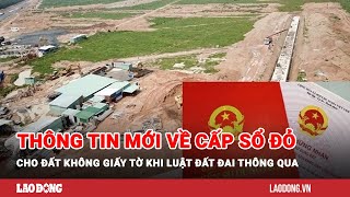 Thông tin mới về cấp sổ đỏ cho đất không giấy tờ khi Luật Đất đai thông qua  Báo Lao Động [upl. by Clute954]