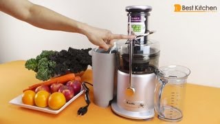 Breville JE98XL Juice Fountain Plus 850Watt Juice Extractor Review [upl. by Sieber]