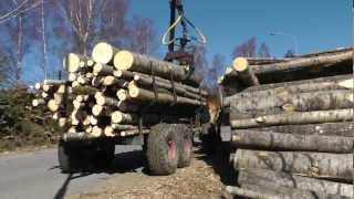 Horse logging Sweden [upl. by Janeen]