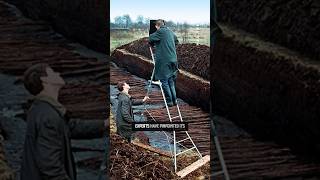 Ancient Engineering Marvels The 800Meter Road That Stunned Archaeologists [upl. by Bartie]