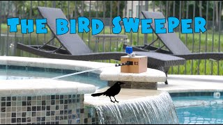 The Bird Sweeper  An Effective and Humane Bird Deterrent [upl. by Tychon]