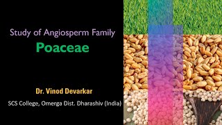 Study of Family Poaceae by Dr V D Devarkar [upl. by Verdie404]