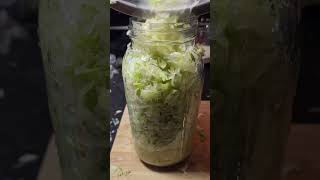 Bears Recipe of the Week Simple Sauerkraut recipe food [upl. by Garfield382]