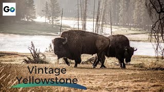 Vintage Yellowstone The Worlds First National Park  Full Vintage Documentary [upl. by Nyar56]