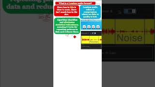 Lossless Audio Formats  What is a Lossless Audio Formats [upl. by Mellicent]